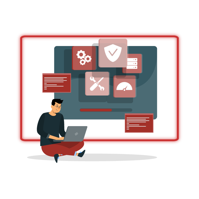 custom software development