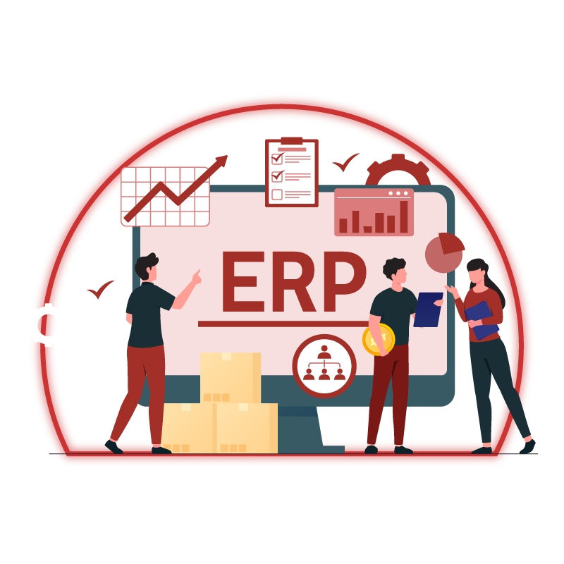 ERP development and Implementation